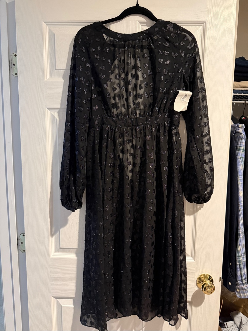 Sheer Black Long-Sleeve Midi Dress